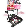 LED Makeup Train Case Lighted Rolling Travel Portable Cosmetic Organizer Box with Mirror and 4 Detachable Wheels Black